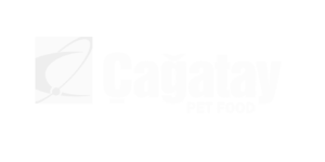 Adsız tasarım (89)